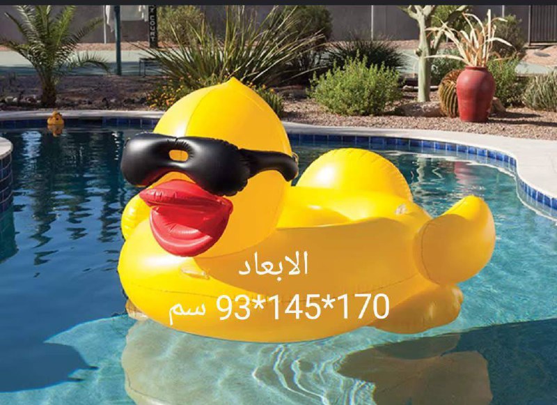 عوامات مسبح