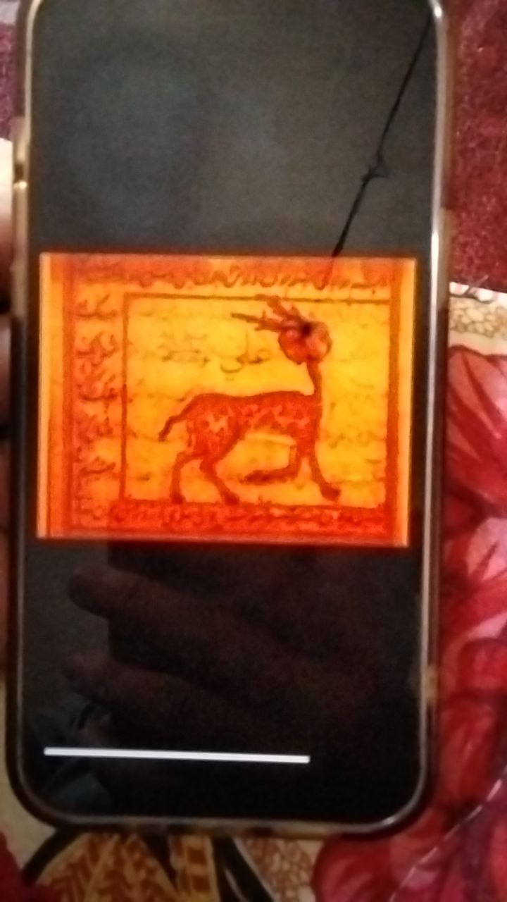 فن وزخرفة