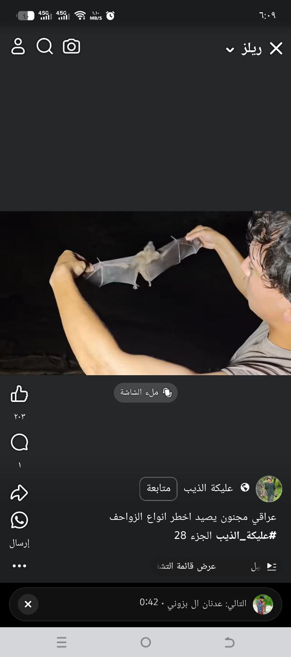 حيوان بري