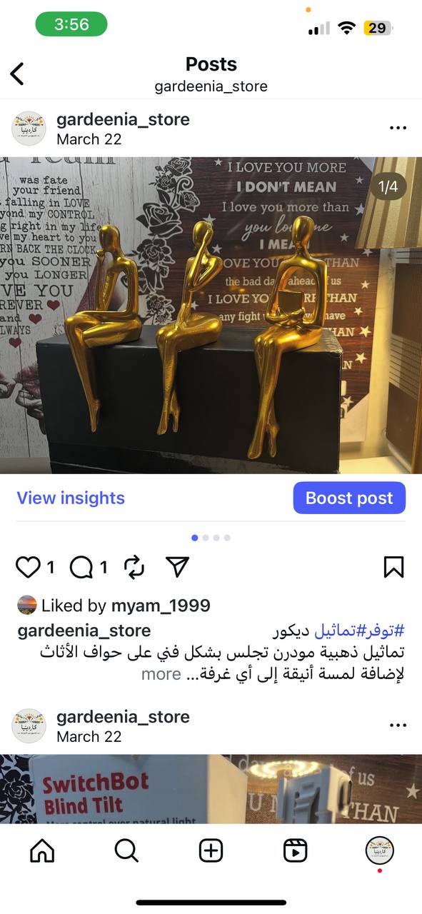 ديكور منزلي / تماثيل فنية