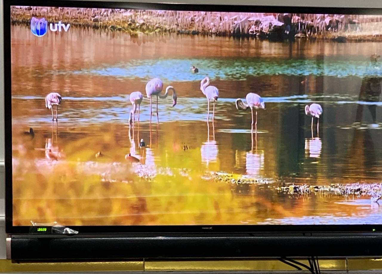 إلكترونيات