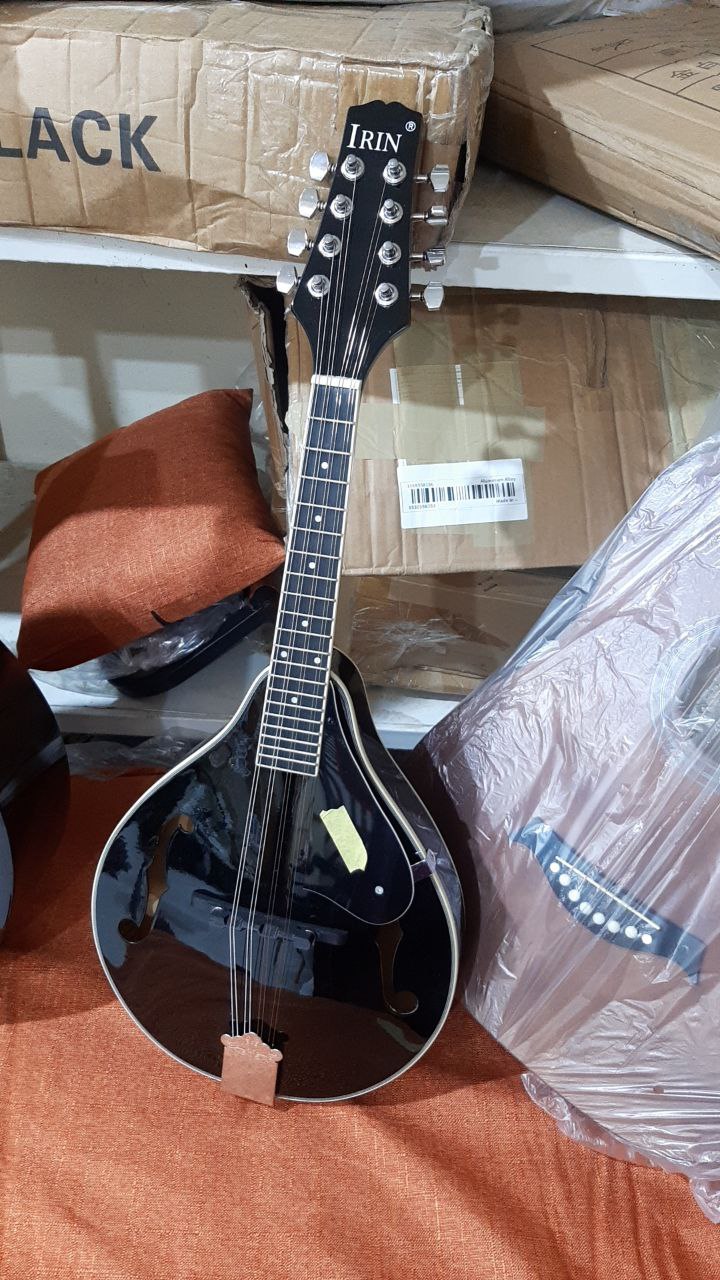 آلة موسيقية وترية