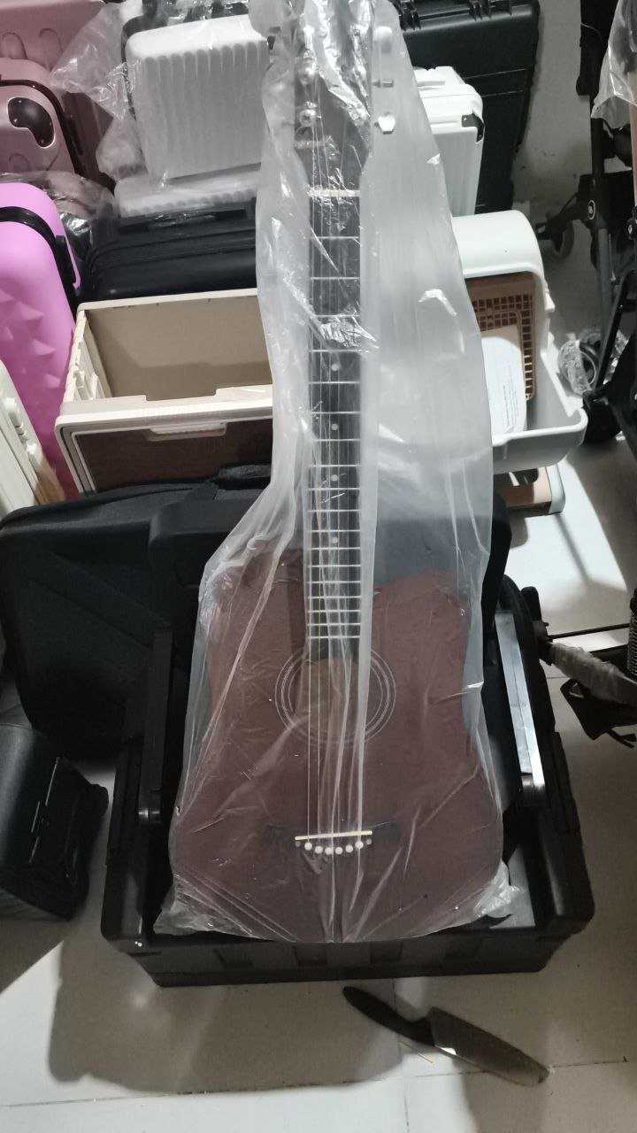 آلات موسيقية