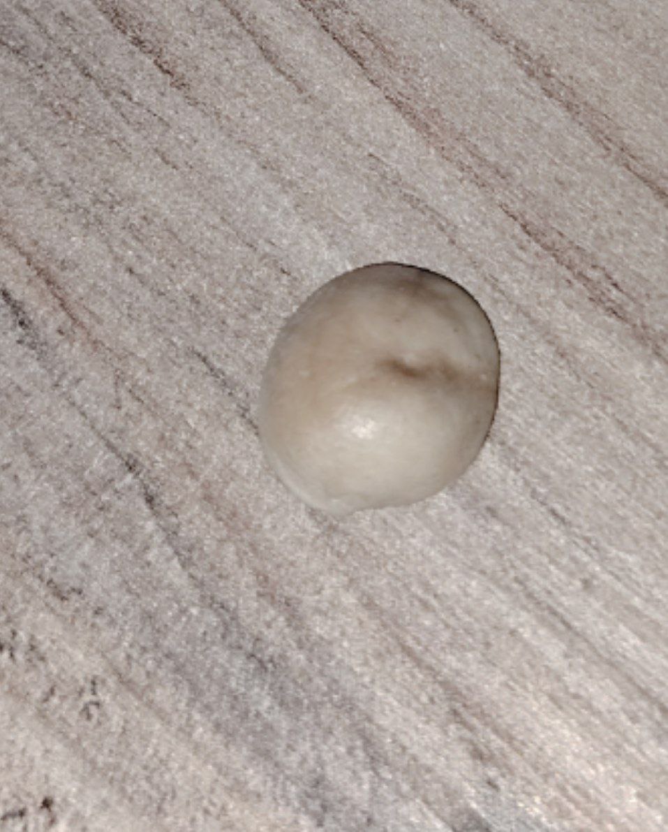 مواد طبيعية