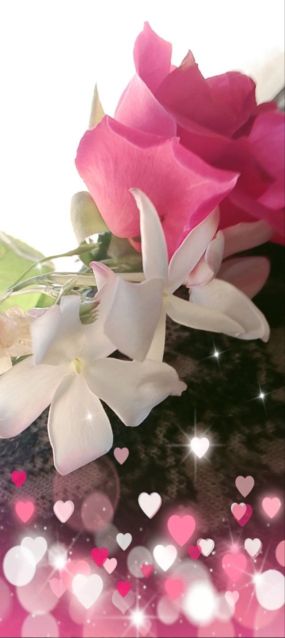 زهور وزينة طبيعية