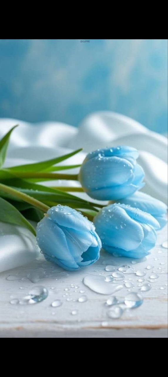 ديكور منزلي / زهور صناعية