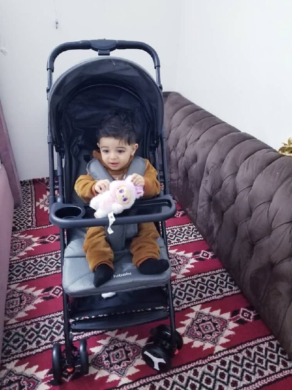 منتجات الأطفال / عربة مشي ودفع