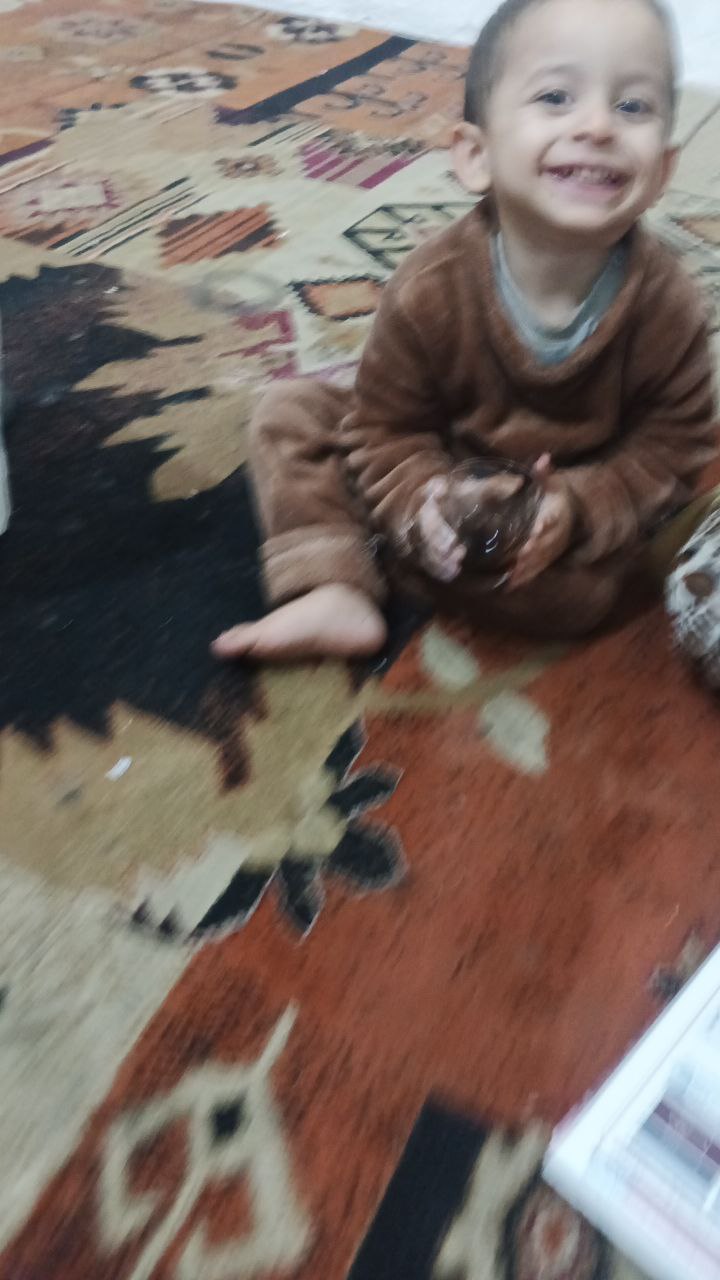 ديكور منزلي / سجاد