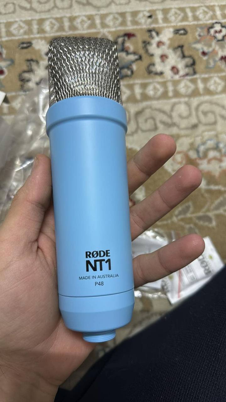 تسجيل الصوت